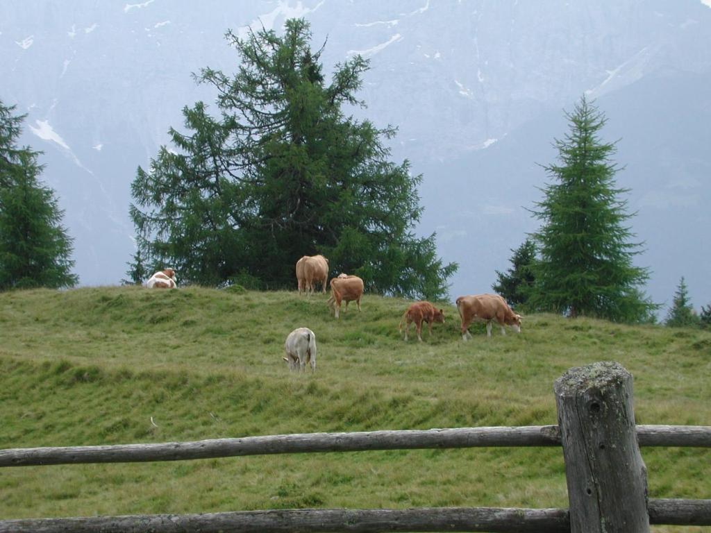 Straganzhof Villa Iselsberg Dış mekan fotoğraf
